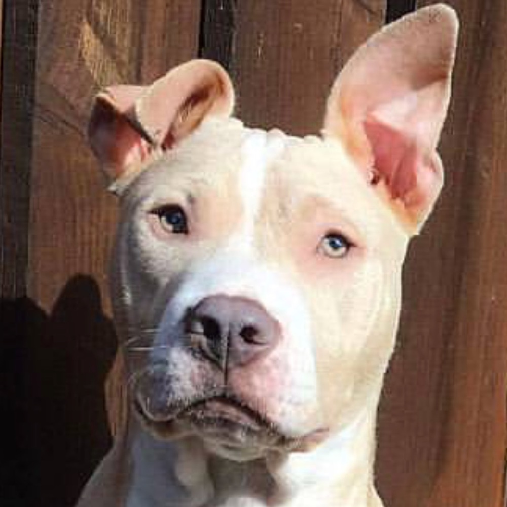 Meet your Posher, Jordyn